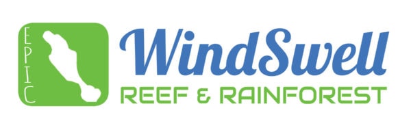 Windswell logo